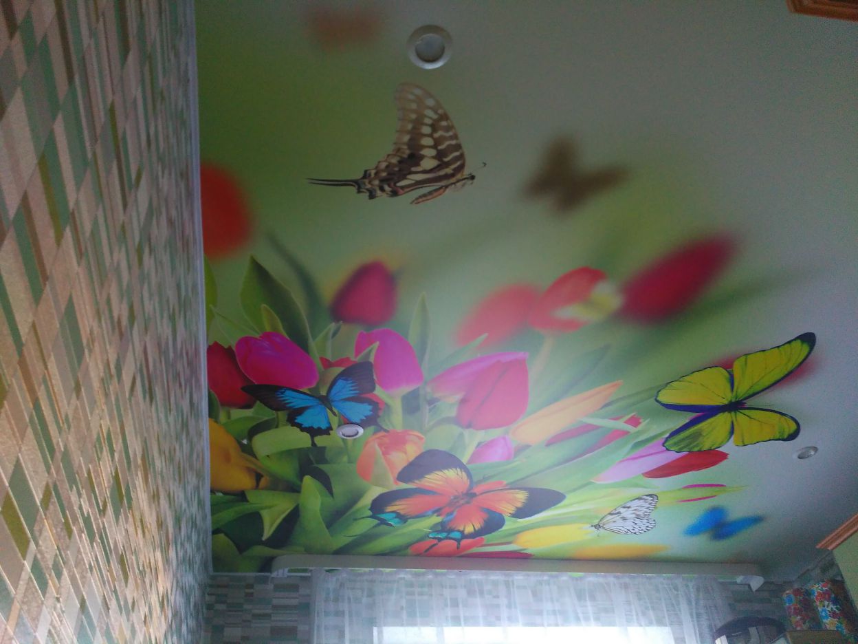 Примеры потолков с фотопечатью