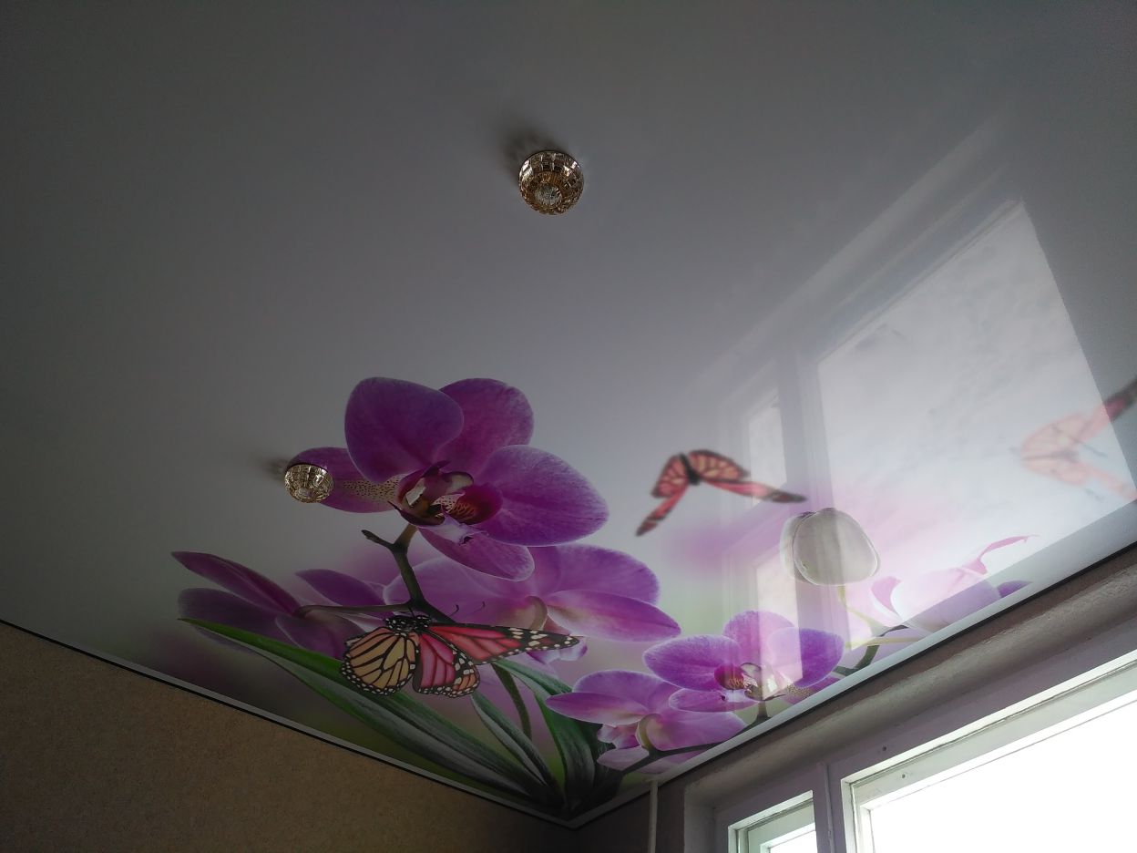 Примеры потолков с фотопечатью