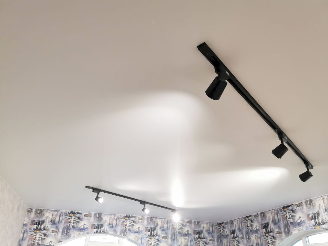 Магнитные трековые системы